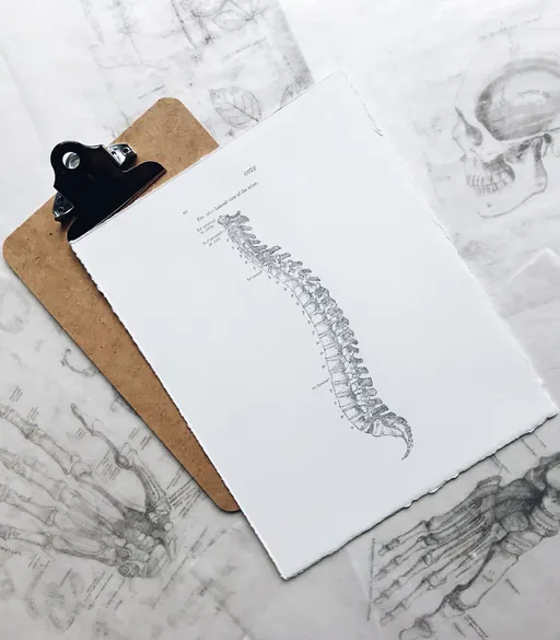 Spine Screening